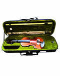 Violín atigrado con estuche